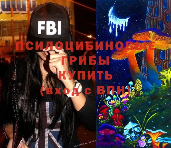 PSILOCYBIN Володарск