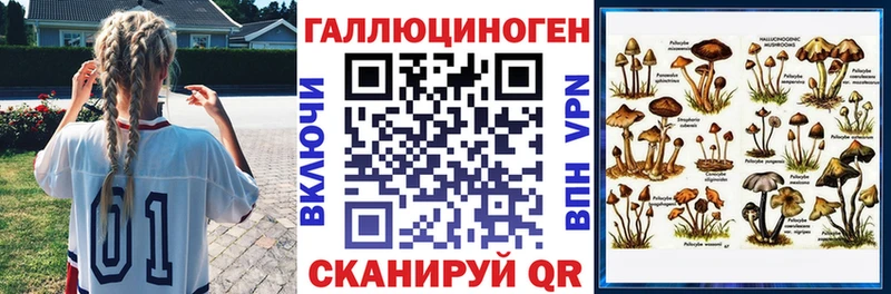 Псилоцибиновые грибы Magic Shrooms  блэк спрут ТОР  Каргат 